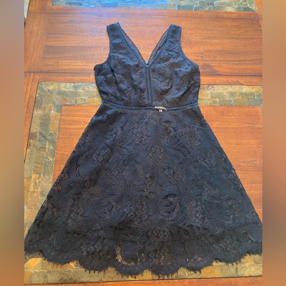Black Swan Lace Dress
